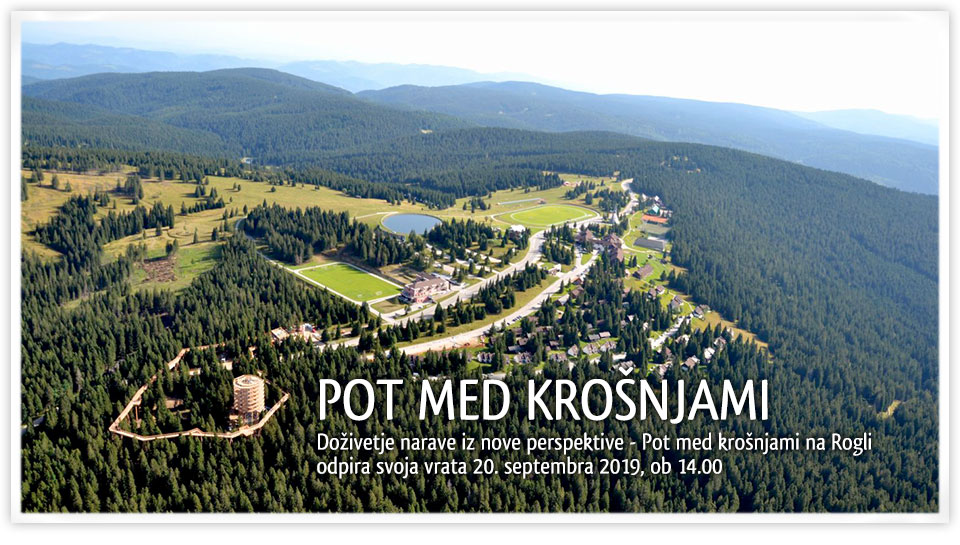 pot med krošnjami